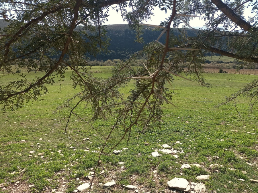 Commercial Property for Sale in George Rural Western Cape